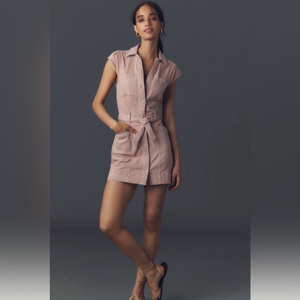 PAIGE Blush Mini Dress with Belt